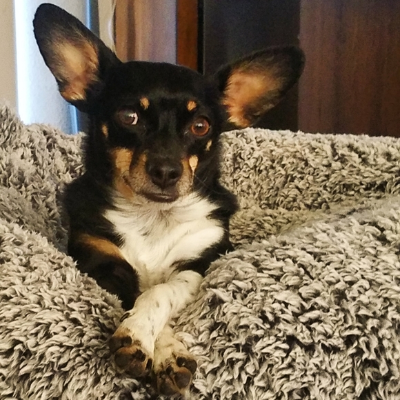 Meet your Posher, Katie - Picture 1 of 6